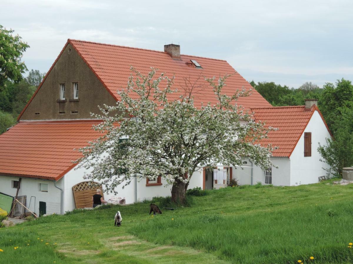 Pod Miotelka Wlen Exterior photo